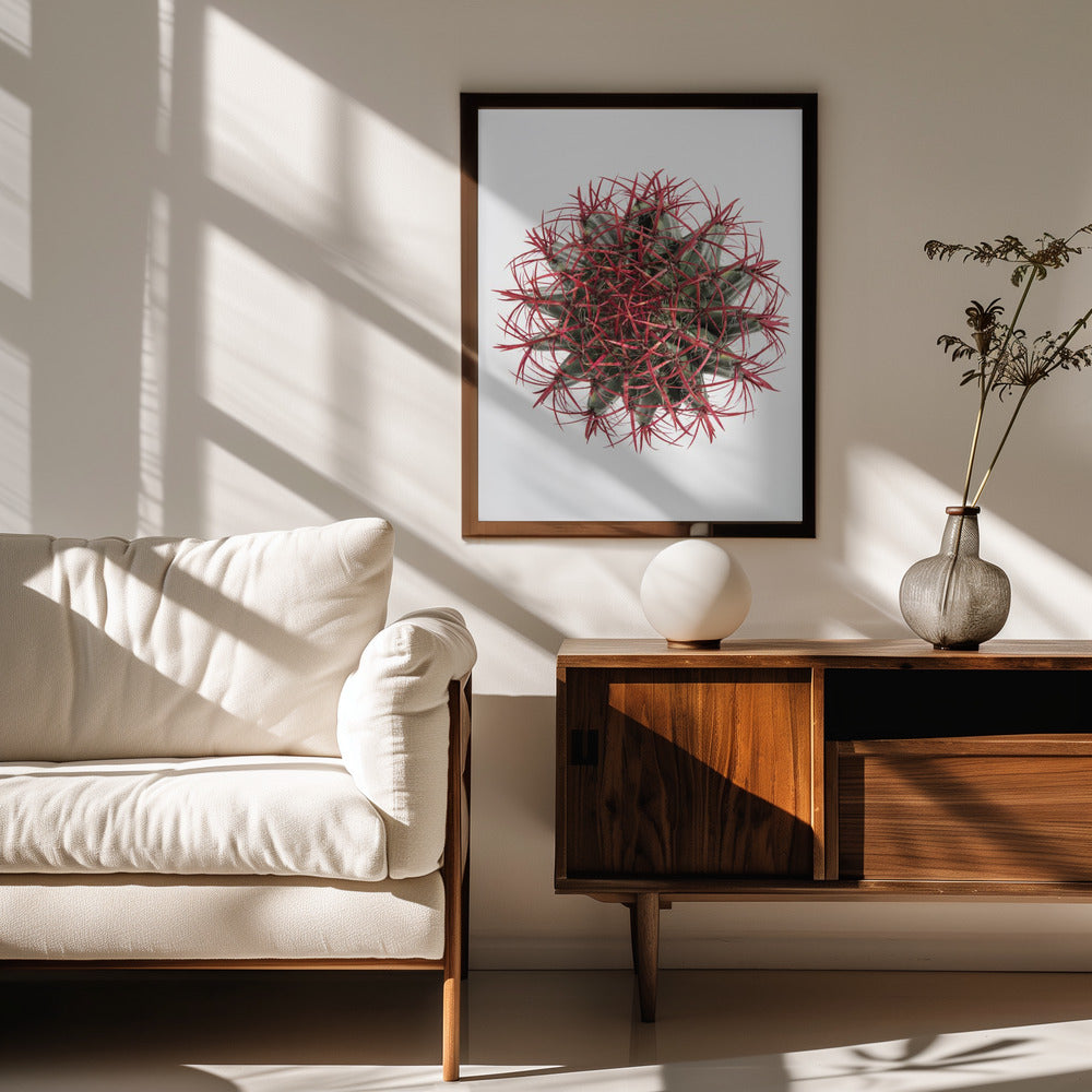 Cacti Poster